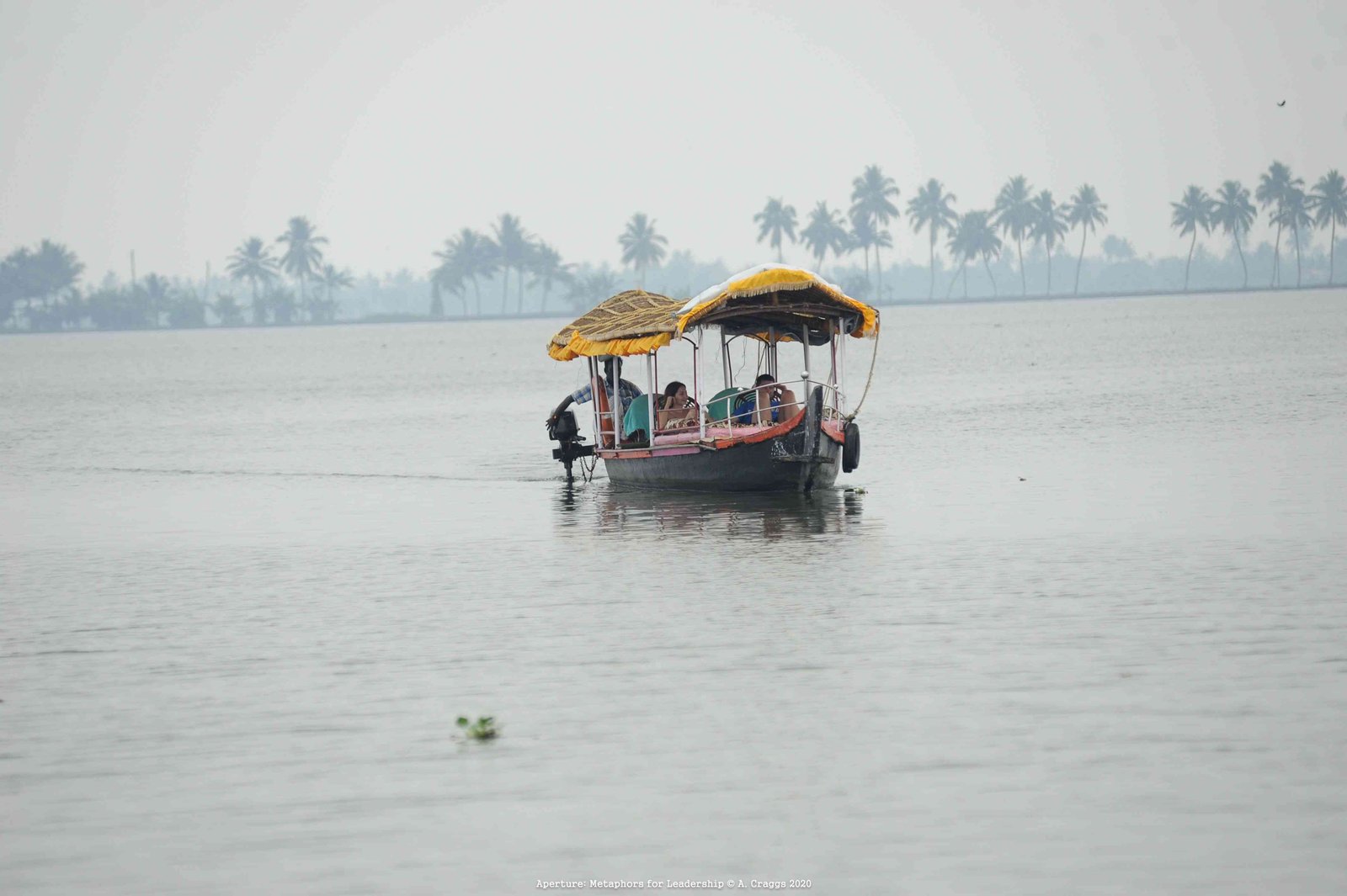 Backwaters Kerala India 2015