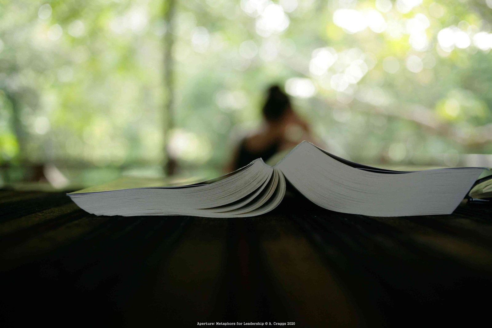 Longhouse Sarawak 2013