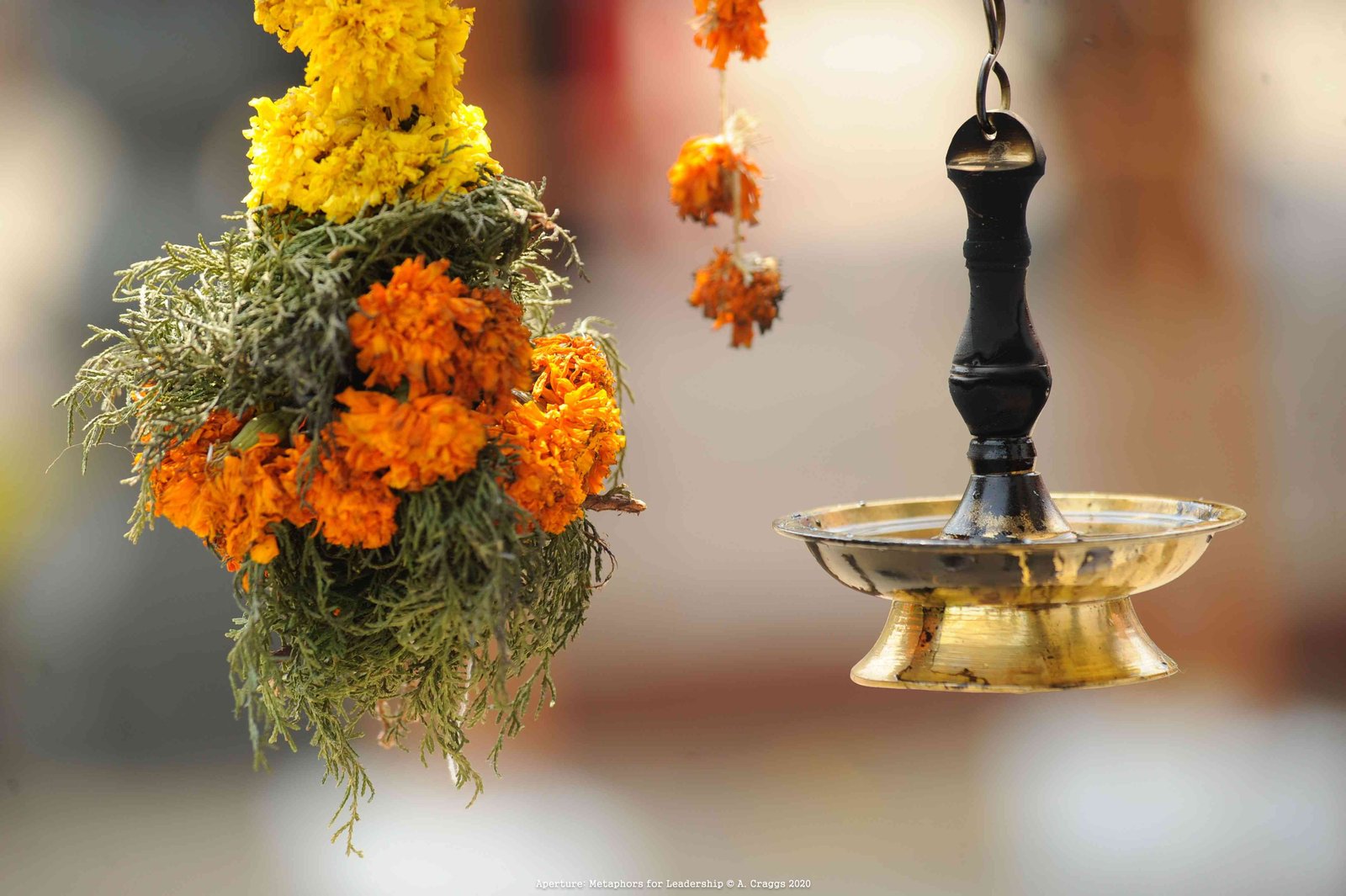 Lamps Kerala India 2015