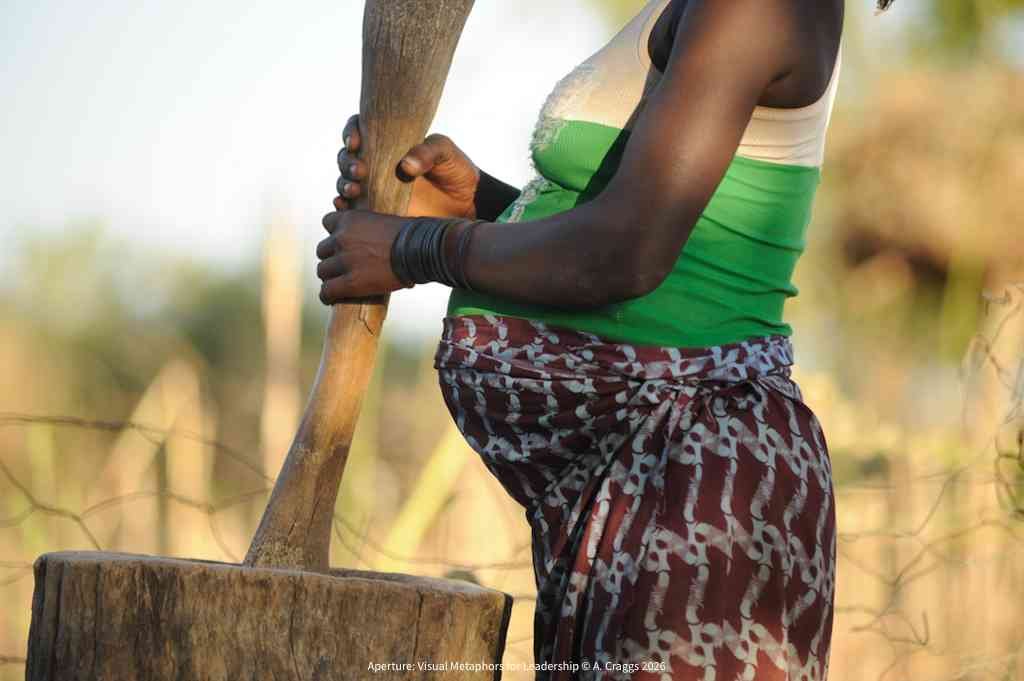 Farmer Burkina Faso 2015