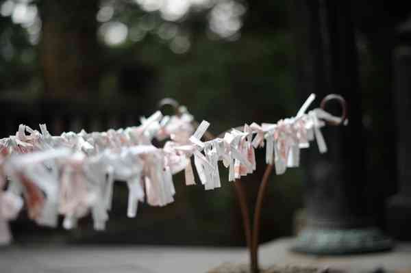 Knotted Prayers Nikko Japan 2013