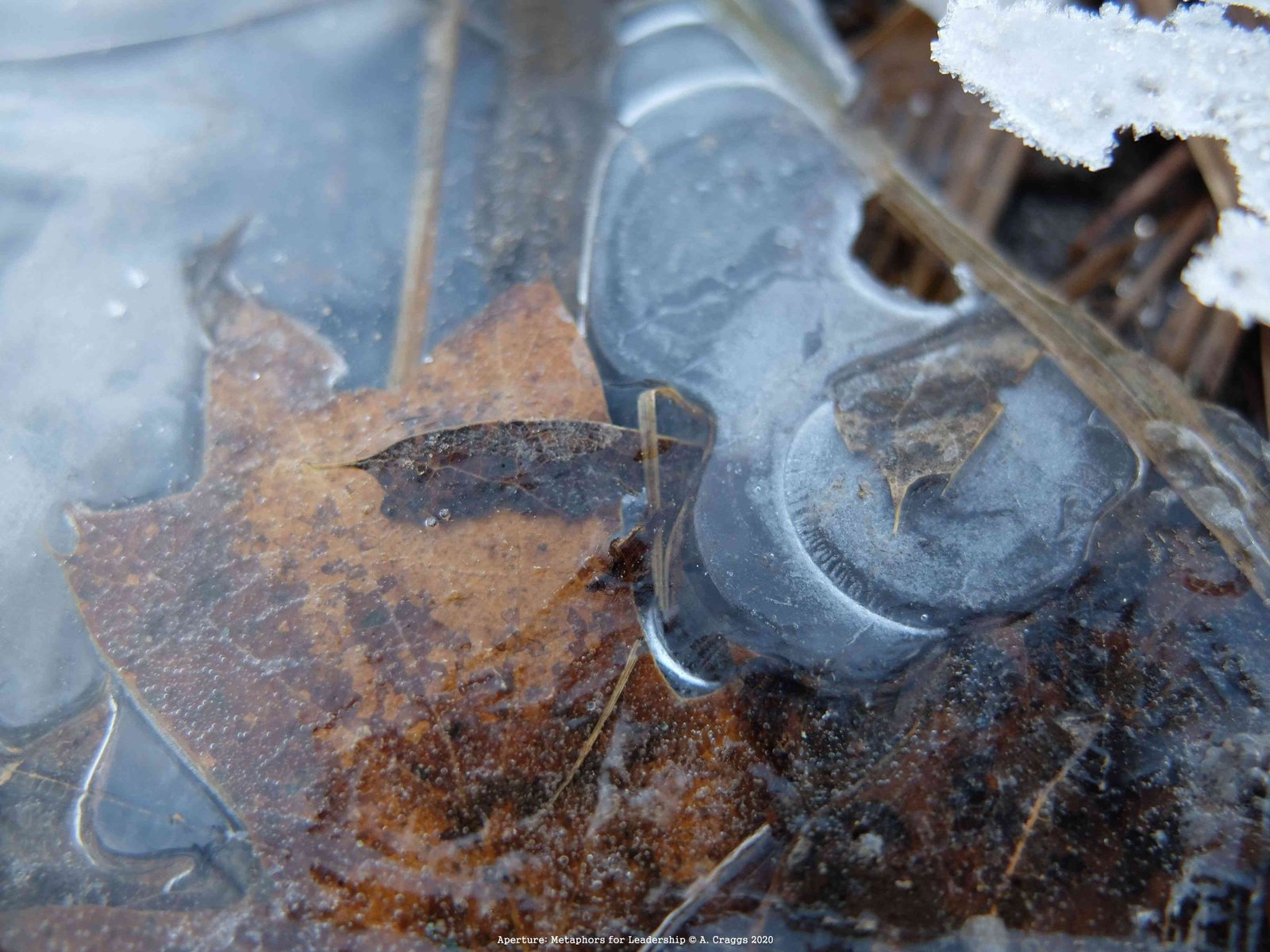 Ice Yosemite USA 2017