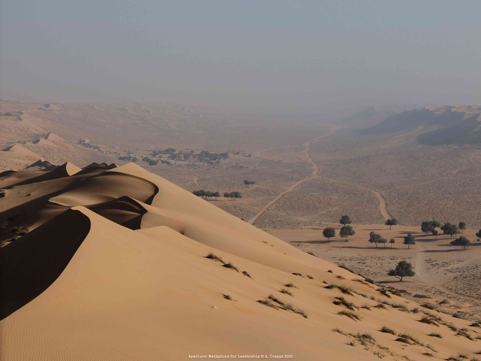 Desert Dunes Oman 2014